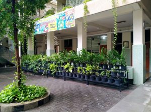 halaman-sekolah-santa-maria-surabaya