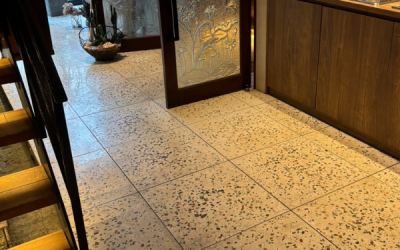 Terrazzo Polished vs Brush: Panduan Lengkap Memilih Finishing Yang Tepat Untuk Setiap Ruangan